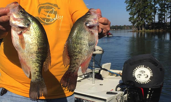 There is always great fishing on Lake Palestine in East Texas, near Tyler