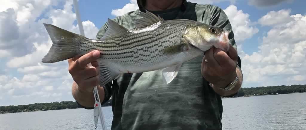 Great fishing on Lake Palestine in Texas! Great fishing on Lake Palestine in Texas!